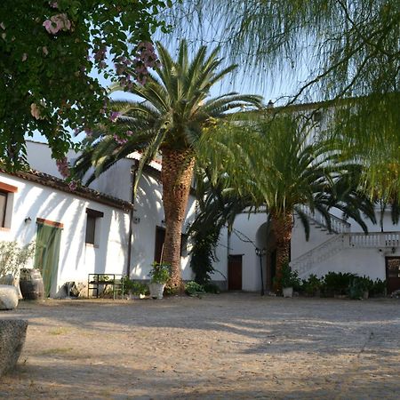 Agriturismo Malena Amica Екстериор снимка